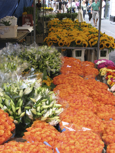 901139 Gezicht op enkele bloemenkramen op de Oudegracht bij de Jansbrug te Utrecht. De kramen staan vol zomerbloemen.